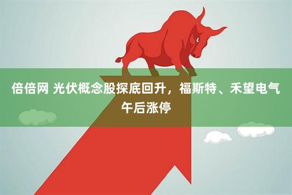 倍倍网 光伏概念股探底回升，福斯特、禾望电气午后涨停