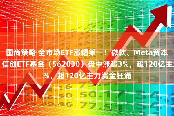 国尚策略 全市场ETF涨幅第一！微软、Meta资本开支乐观，信创ETF基金（562030）盘中涨超3%，超120亿主力资金狂涌