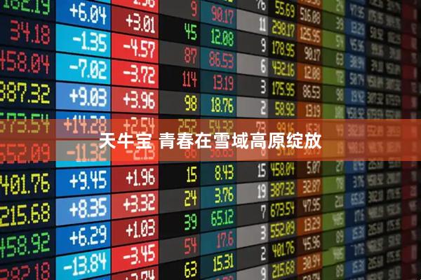天牛宝 青春在雪域高原绽放