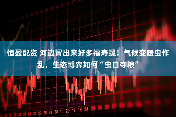 恒盈配资 河边冒出来好多福寿螺！气候变暖虫作乱，生态博弈如何“虫口夺粮”
