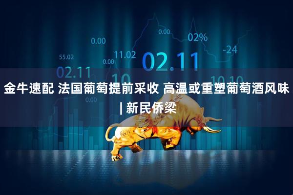 金牛速配 法国葡萄提前采收 高温或重塑葡萄酒风味 | 新民侨梁