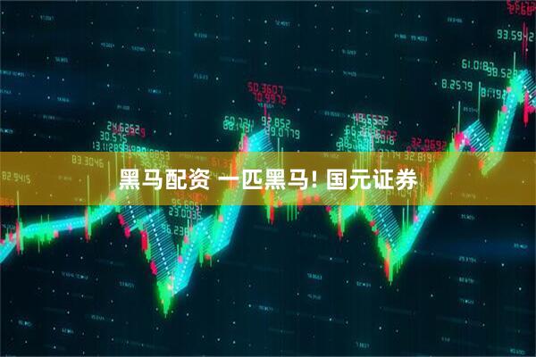 黑马配资 一匹黑马! 国元证券