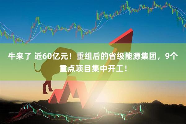 牛来了 近60亿元!重组后的省级能源集团,9个重点项目集中开工!